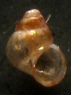 Senza nome- Tarifa a riva